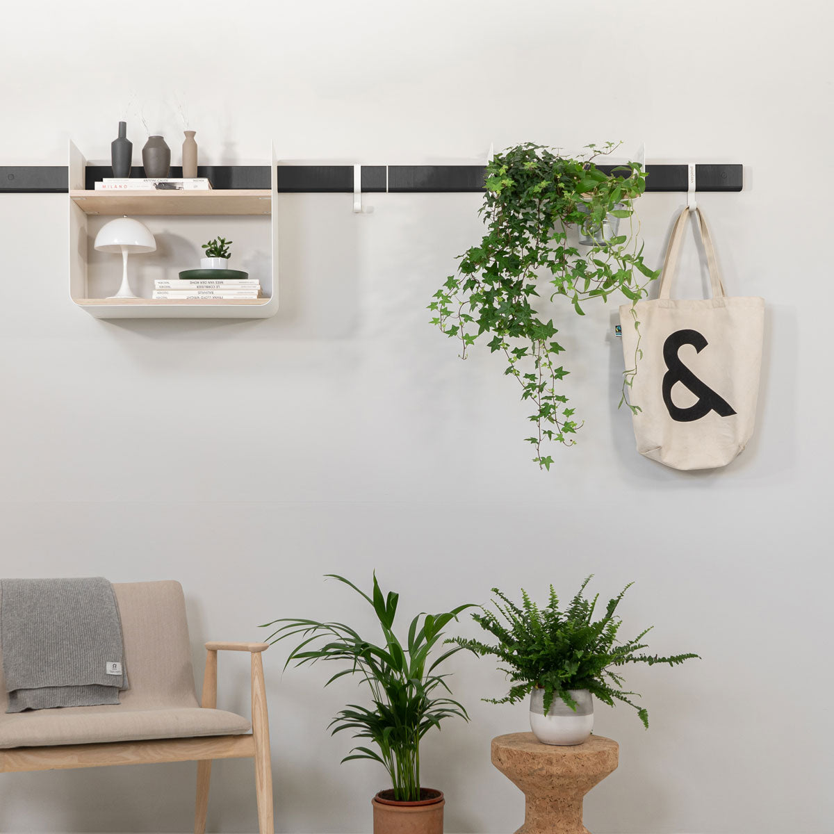 Wohnwand mit dekorativem Wandregal und Pflanzenregal mit Hängepflanze an einer schwarzen Wandleiste